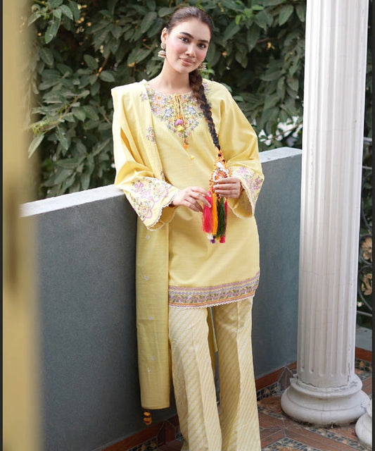3 Piece - Embroidered Khaddar Suit