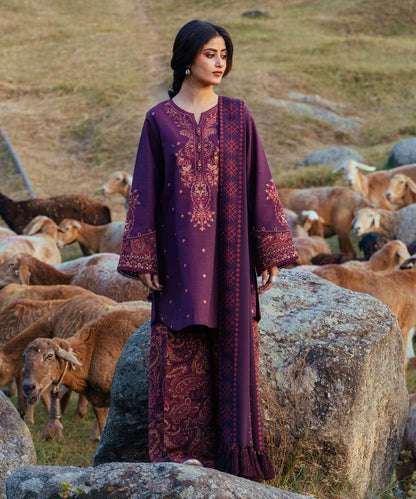 3 Piece - Embroidered Khaddar Suit