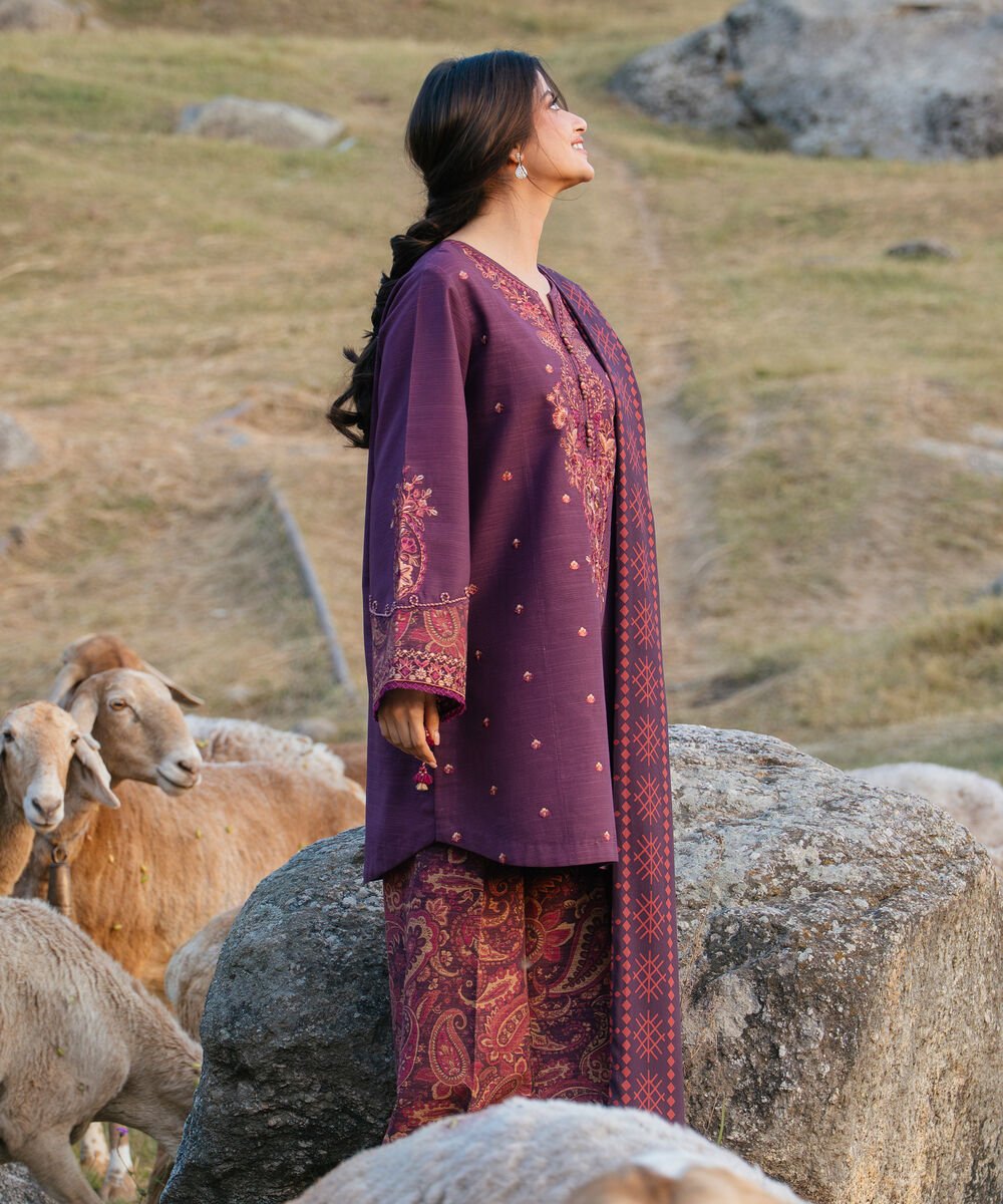 3 Piece - Embroidered Khaddar Suit