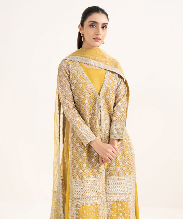 2 Piece - Embrodiered Organza Suit